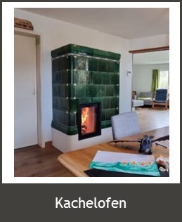 Titelbild Biofire Kachelofen